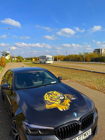 Sticker capota Lion v5