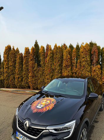 Sticker capota Leu v6