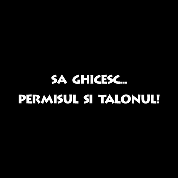 Sa Ghicesc Permisul si Talonul